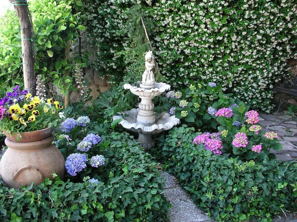 Bed and Breakfast La Casa Nel Borgo Bibbona 3*,  Włochy